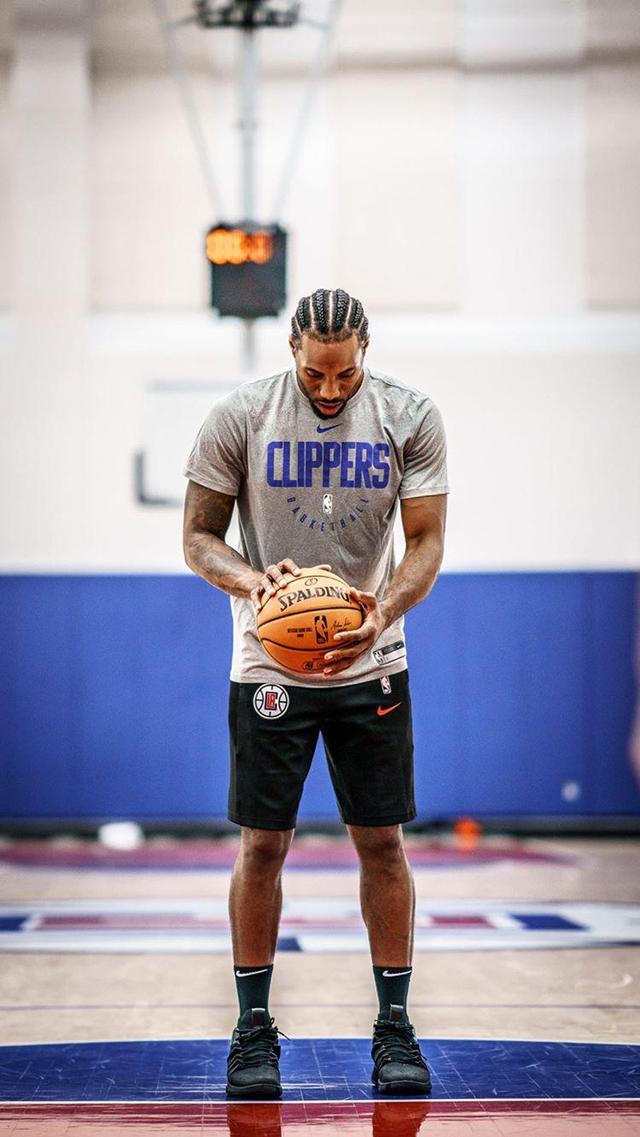 ply